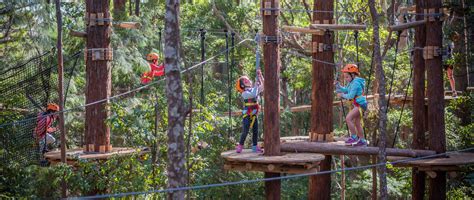 treetops gosford|Prices